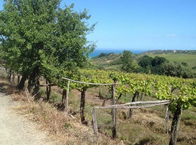 La Stalla Apartamento *